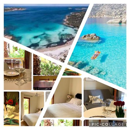 Nest House - Esclusivo Appartamento Marina Di Olbia- Mater Olbia - Beaches - Close To The Airport - Private Parking- Full Comforts - Eksteriør bilde