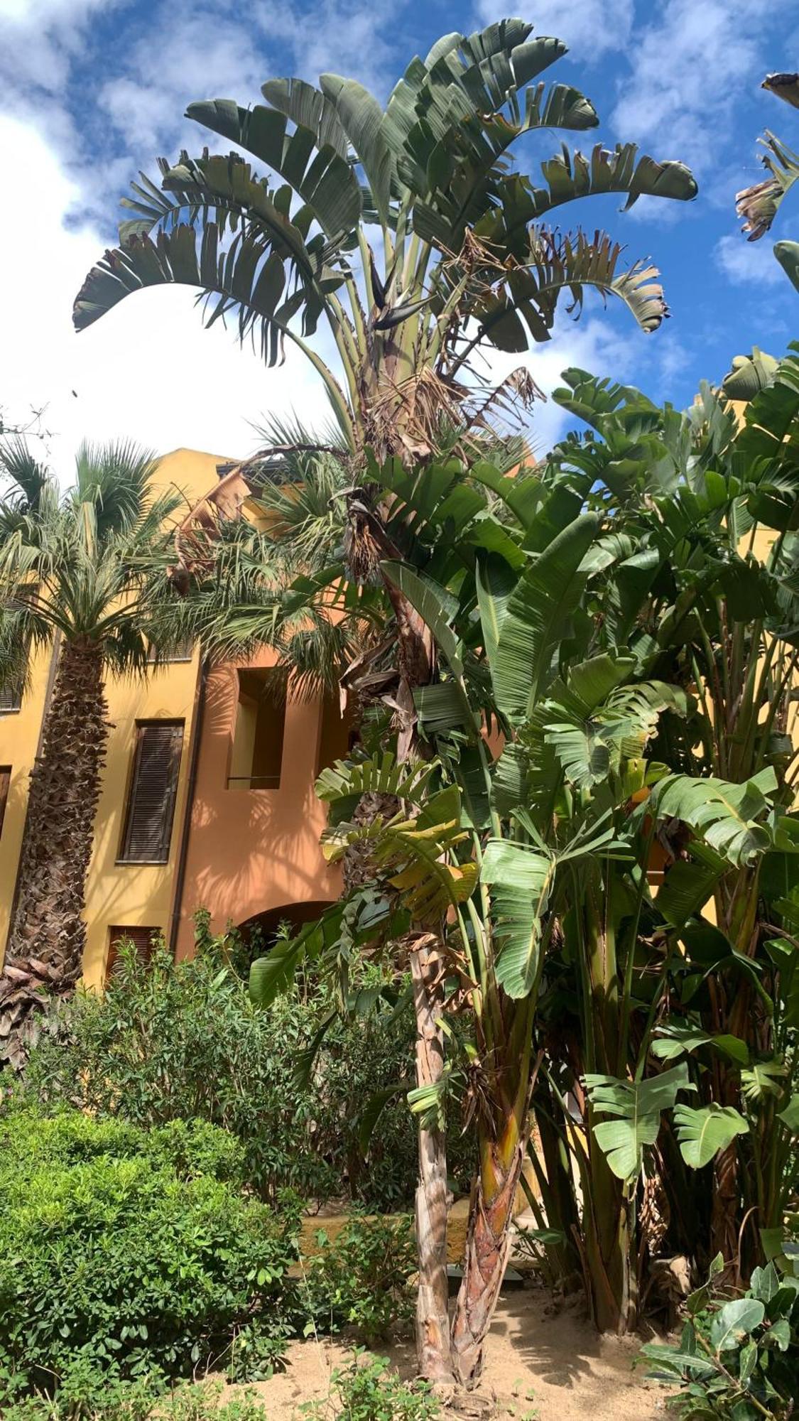 Nest House - Esclusivo Appartamento Marina Di Olbia- Mater Olbia - Beaches - Close To The Airport - Private Parking- Full Comforts - Eksteriør bilde