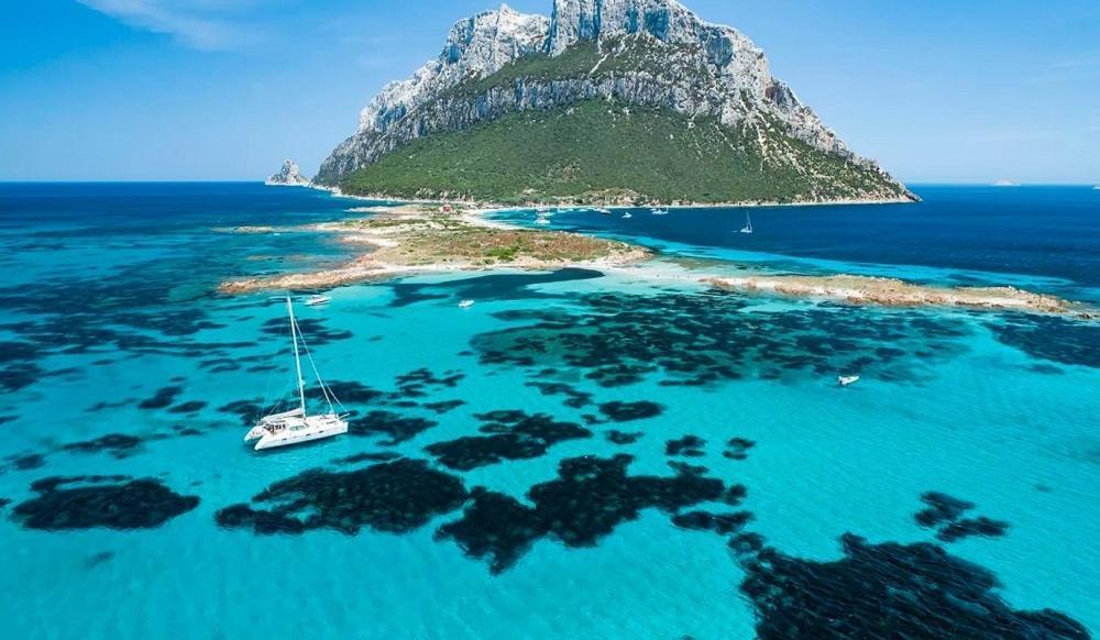 Nest House - Esclusivo Appartamento Marina Di Olbia- Mater Olbia - Beaches - Close To The Airport - Private Parking- Full Comforts - Eksteriør bilde